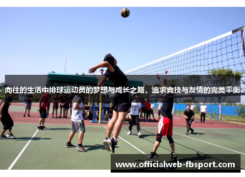 向往的生活中排球运动员的梦想与成长之路,追求竞技与友情的完美平衡