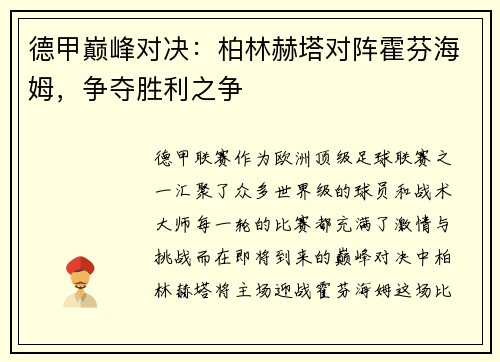 德甲巅峰对决:柏林赫塔对阵霍芬海姆,争夺胜利之争